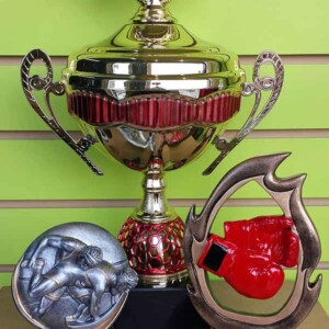 Broderie et trophée des Pastriotes - Gravure au Laser